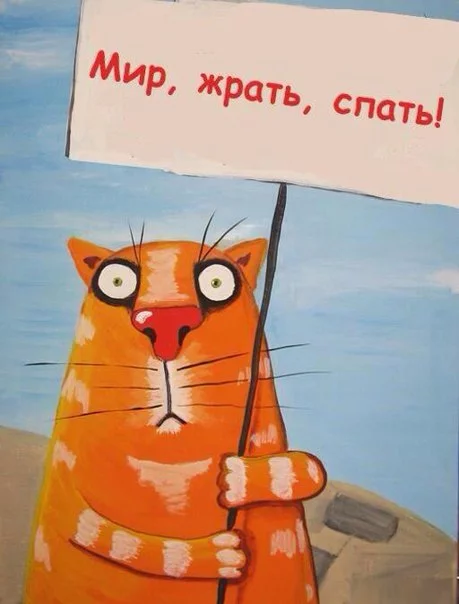 2befde.webp