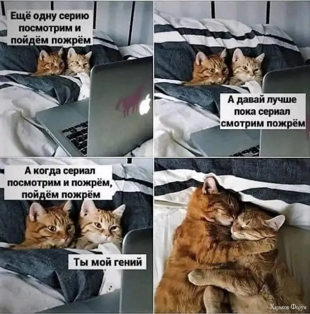 2Beh23AibjeI7urN7DJFw75l3tndHekNXV.jpg