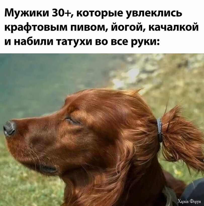 2BelkD0k4QsICvITdvImQwPyOfiQPs8ux2.png