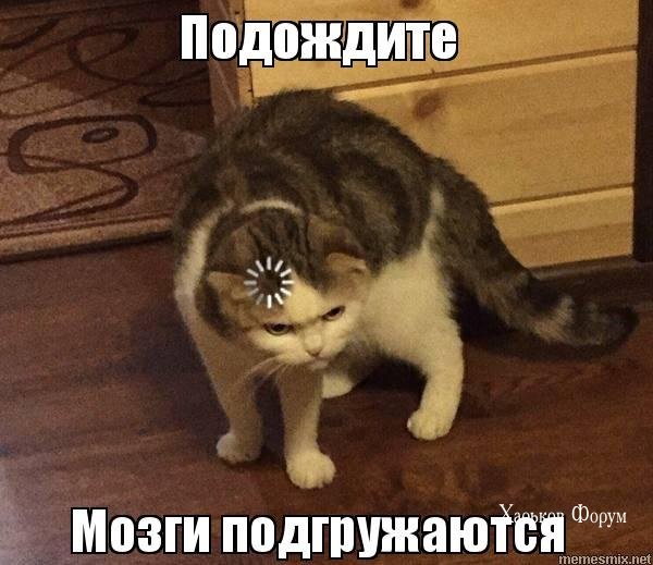 2bf4e6816c3865c628.jpg