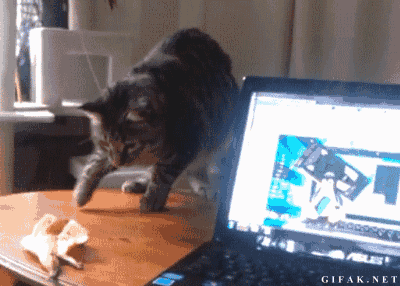 2bf6de593057e63ed0fab6.gif