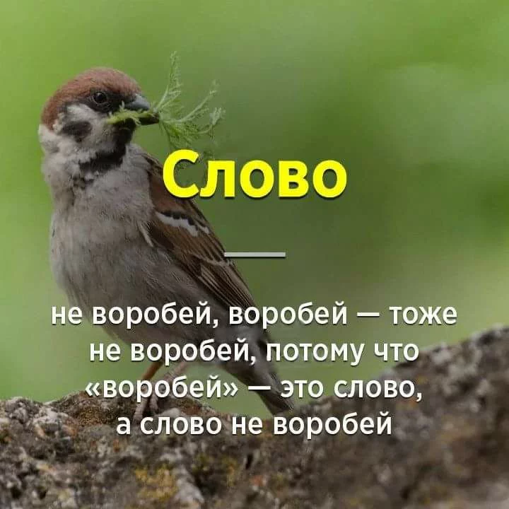 2bfgff.webp
