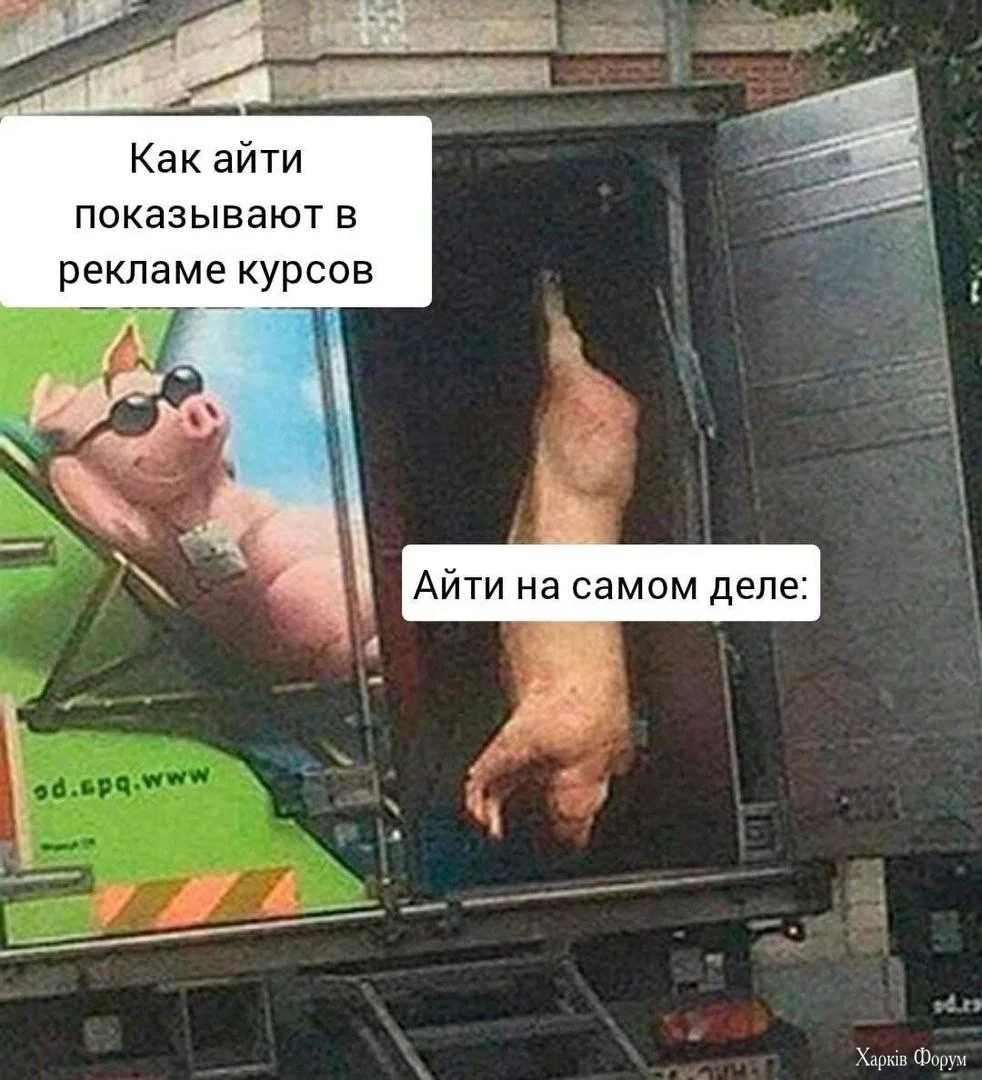 2BfhsP6aGQGm56TIuc4EVVNtr6yUpZNXEe.webp