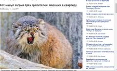 2bgfcb.webp
