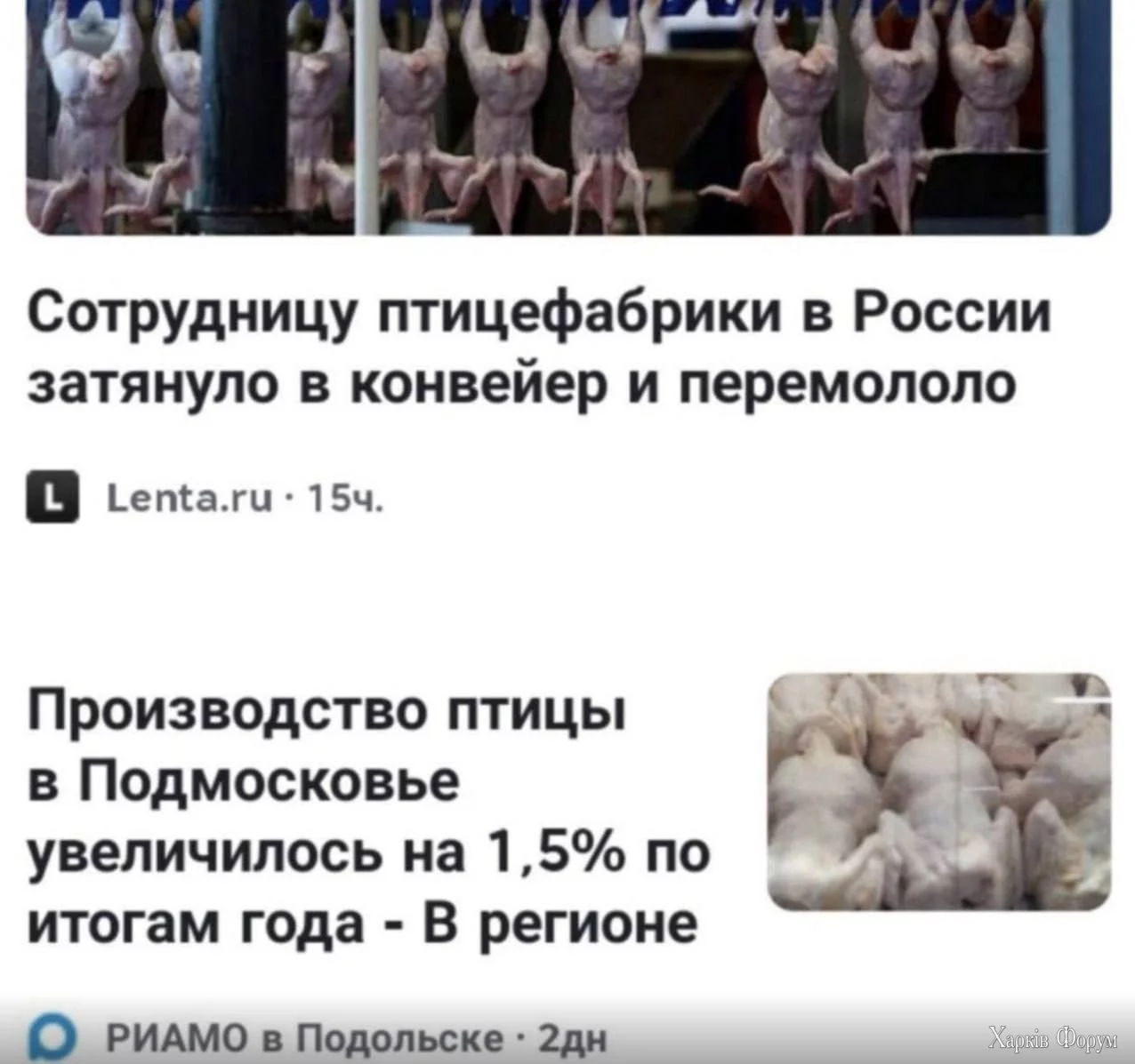 рашисті