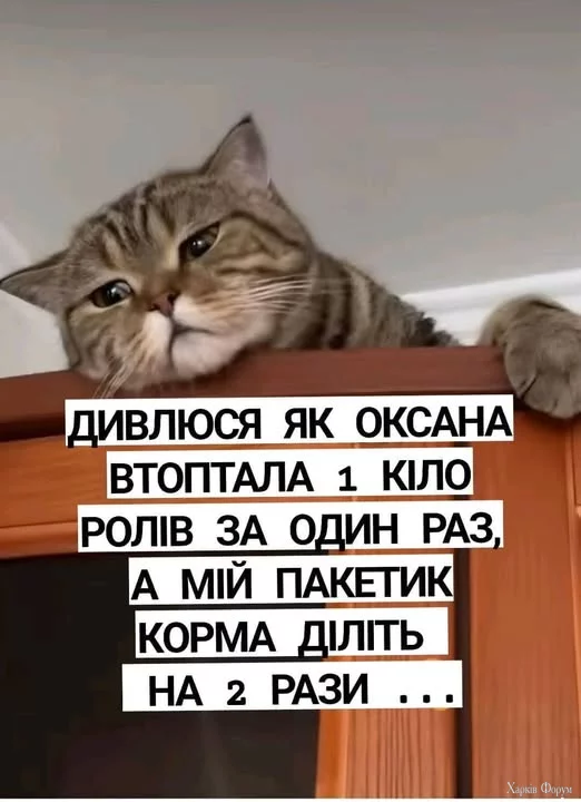 2BL7Lc70KLSZ2ZzAqfNBmNr1kakyaEG515.webp
