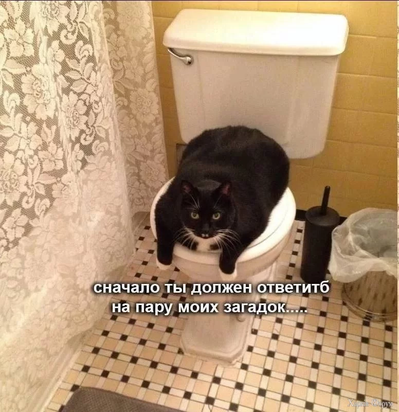 2BmsCTkxpV3xUiVLWiE3BuWkWiaNnnWE4i.webp