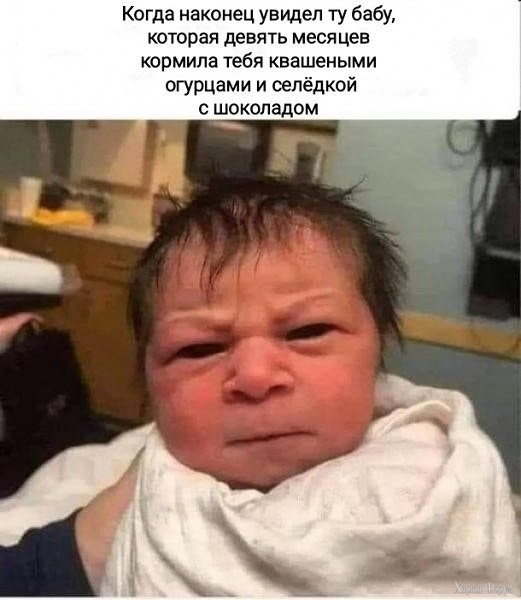 2BNLunkZcl90SsltgW6zEmZl2t8ainc59e.jpg
