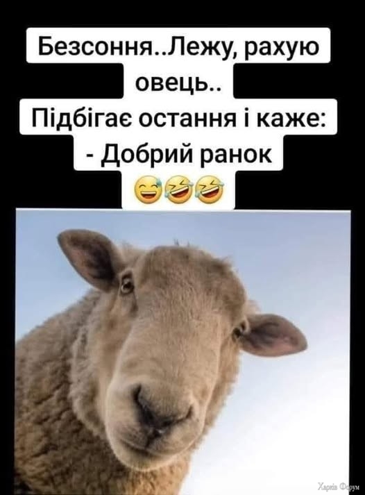 ранок