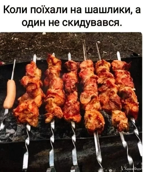 2BpNBaVRXQtlUGyY2NbL9e87ckRFr2dccv.webp