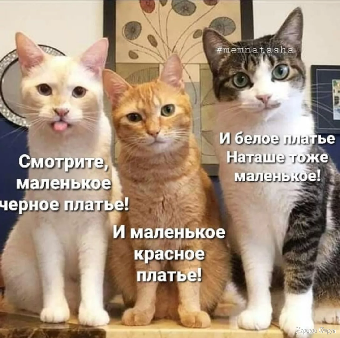 2Bsr1FJEnno9CeTRpg3RO3X7hm31XFonrl.webp
