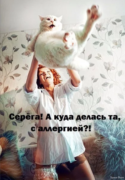 2BtOr5UClmOrs2gniLcOhDUBlYNGCic5MI.webp