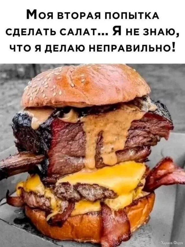2BuEPtRMKUZdzVYxLqL4KA8rSzuviE8yrs.webp