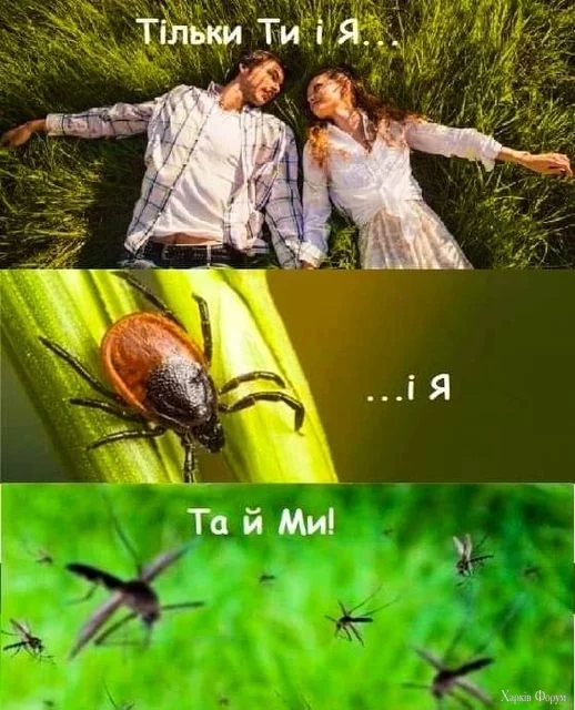 2BUy8PipRbPSlyrSayRVz8QSWexRCxuKhM.webp