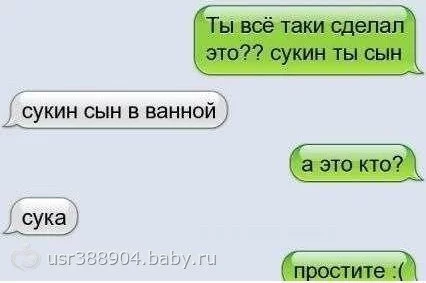 2bvx93wGXnI.webp
