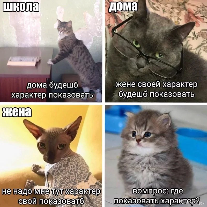 2BWDehIOmiTCfC0ZJ0Wd8avu4BHjdc4cMC.webp