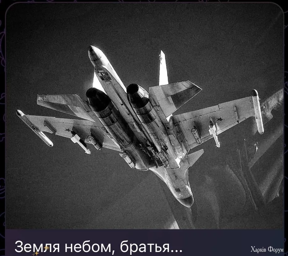 русские воют на болотах что это второй случай френдлифайер :D:D:D