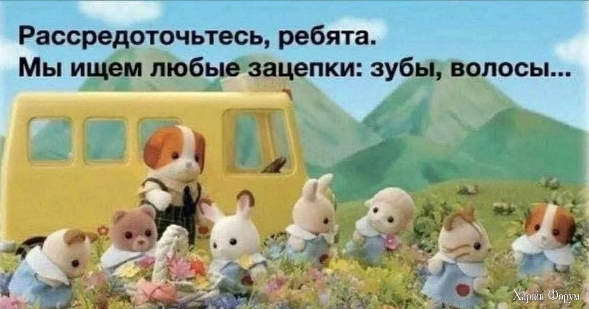 ищем