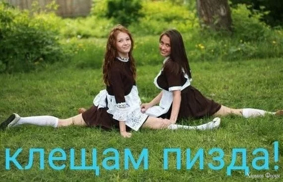 2Bz80P40l5hsOPD3kn8NYfYusPciws354a.webp