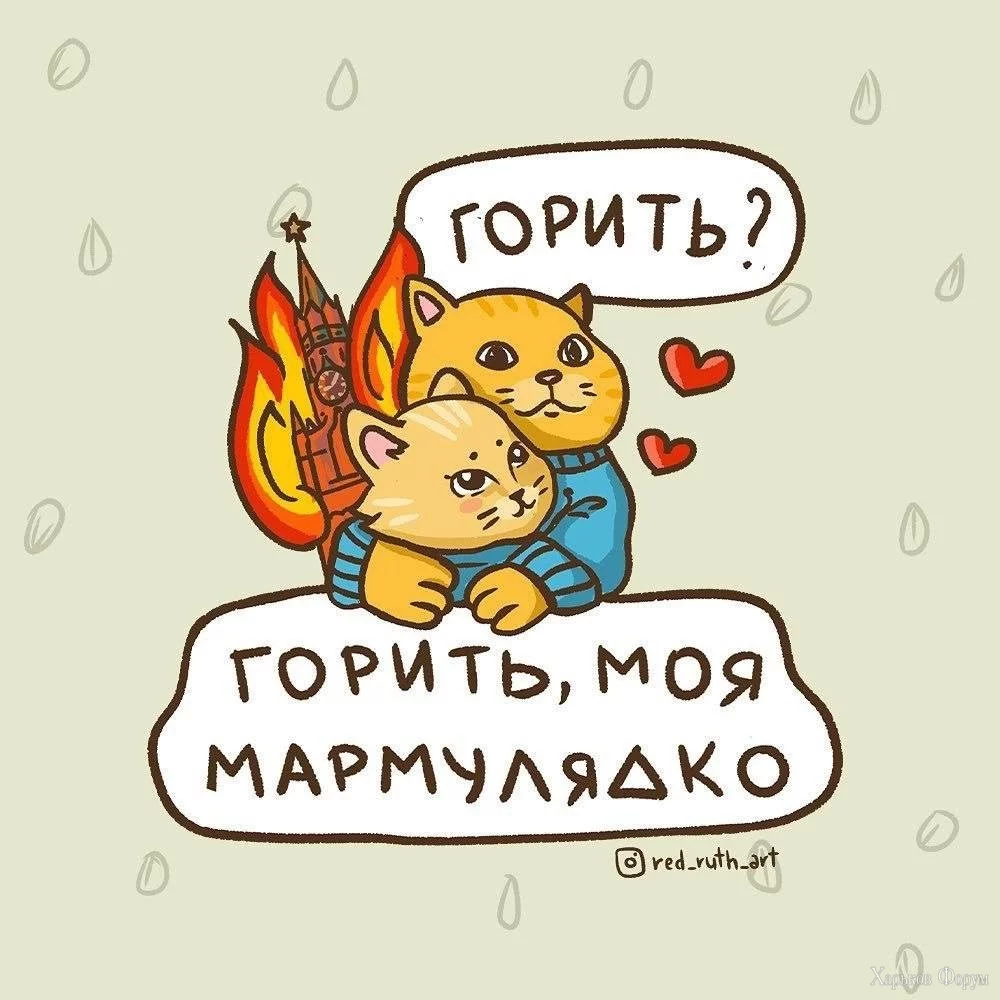 2Bza2R65mFABx1UZPwYKgbZvFZnJ2VvToT.webp