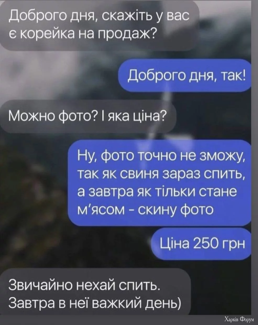 свиня
