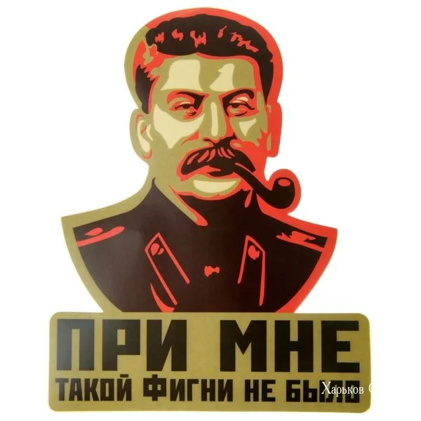 2c021cda5a5898a6e76.webp