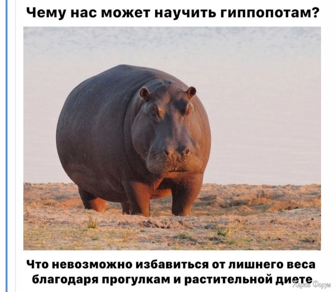 правда