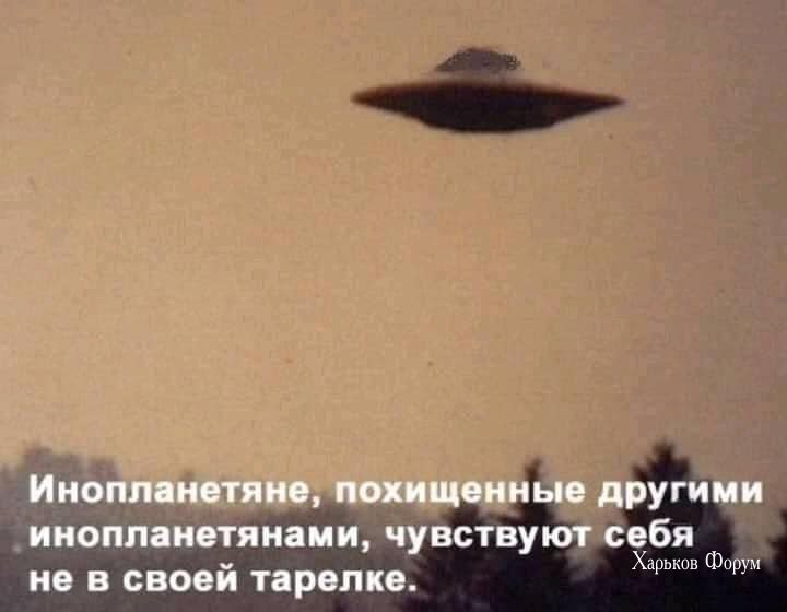 2c1d99a66d1e94de2d43c45.jpg
