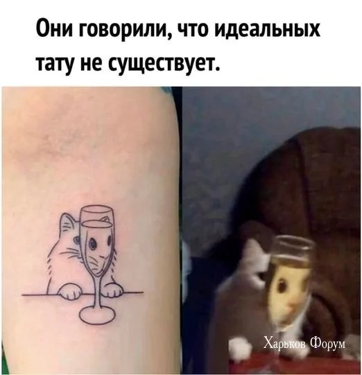 2c240cdb8c889772550ff92.webp