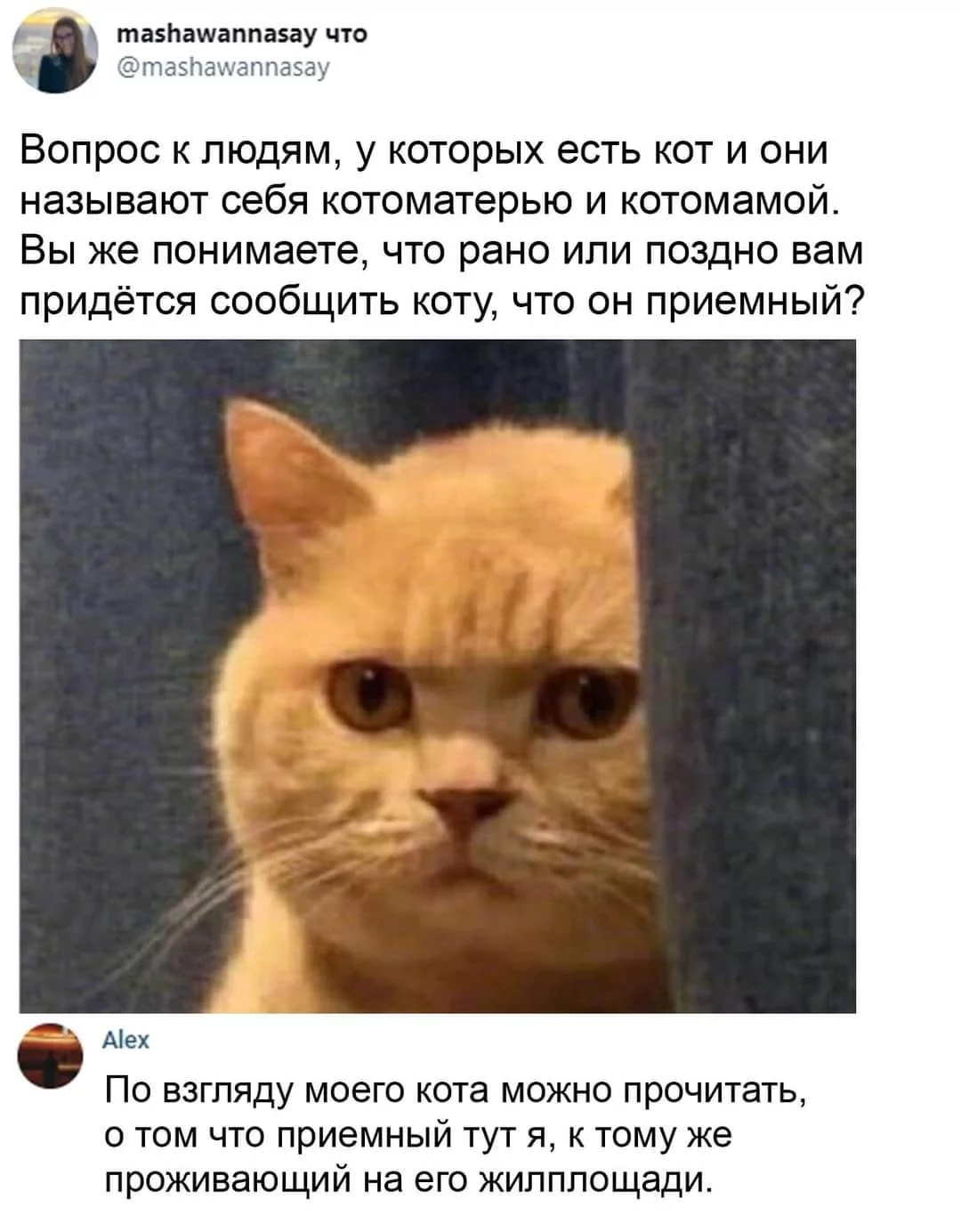 2c2cb52403d49ba882.webp