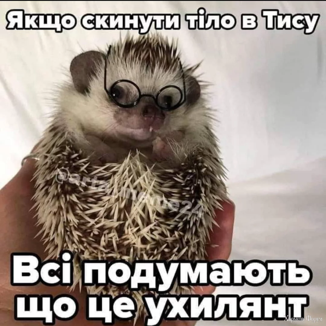 2C2hn7a97KsFOl05DU3ULqOC5JARnwP8Td.webp