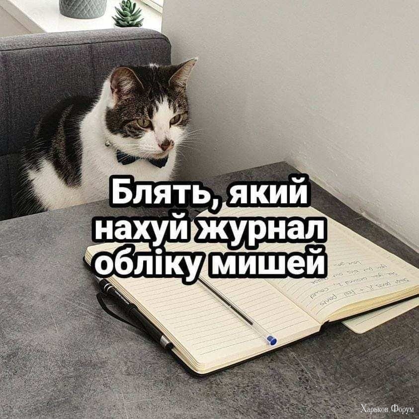 2C2x8ib1AeMwO7RIAqyOOunlSsnGd8Y2Im.jpg