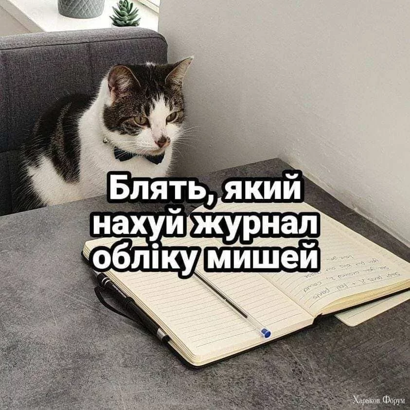 2C2x8ib1AeMwO7RIAqyOOunlSsnGd8Y2Im.webp