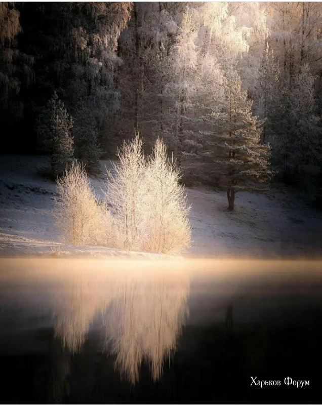 2c392d42f9229750.webp
