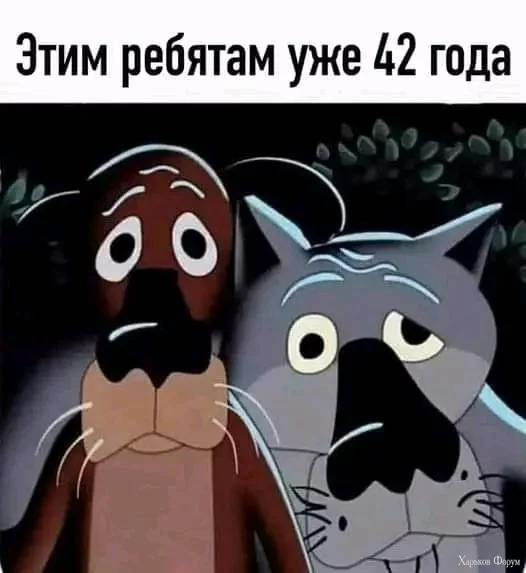 2C4B601YrbtSvhTuWZlDeTBQK5mZh0msWI.webp