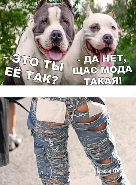 2c52b1d57d8964bedb9.webp