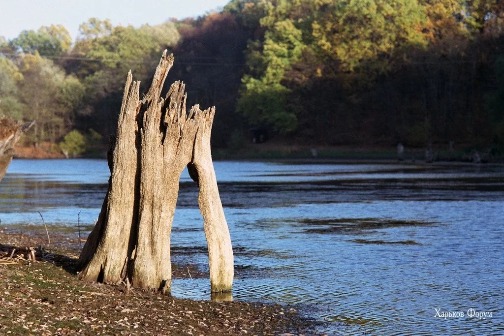 2c54907da43f710d.webp