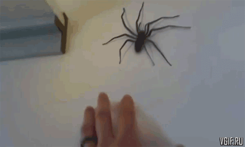 2c59f40ecc33fe3d1a3b1ac5.gif