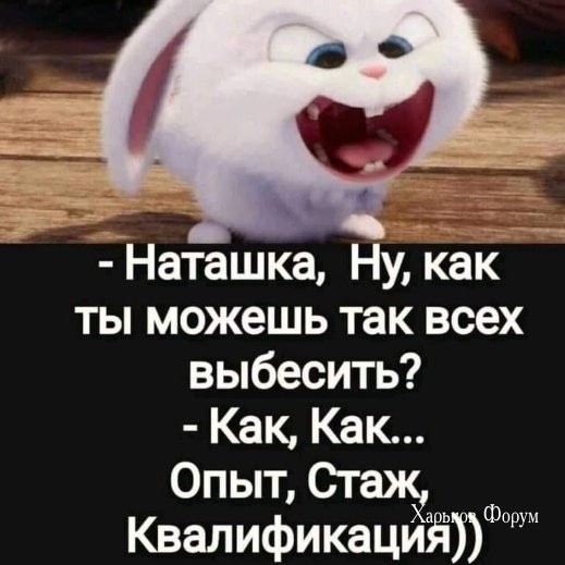 2c5a1bd05014f67f3f45a.jpg