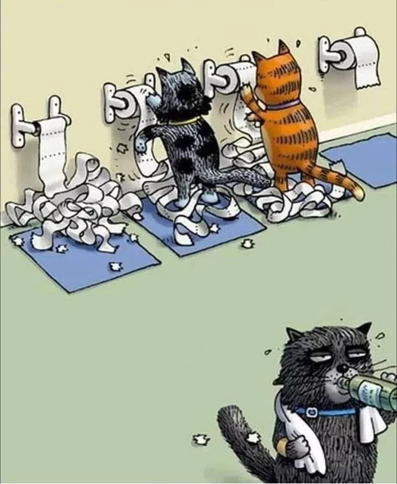 2C5l5EyHwpMx27x7cJhpqD4FSHkU3hiF6Z.webp