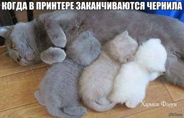 2c6536b56b495c2d.webp