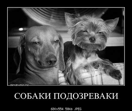 2c68dd46a228870b5a7bdc4878b275d2.webp