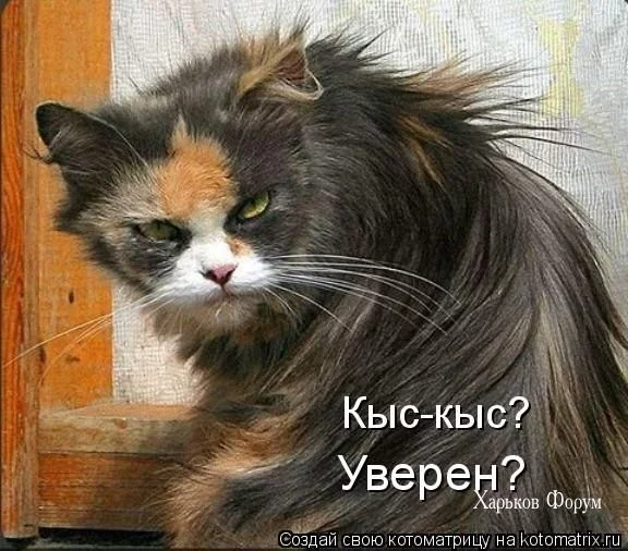 2c6b87b1328479b882b0.webp