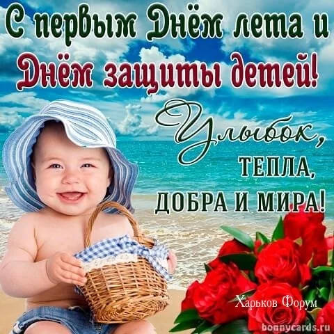 2c6d42352fdc910f67.webp
