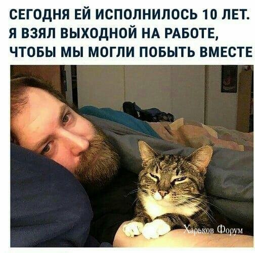 2c6e0bed7bff1e4880ea.jpg