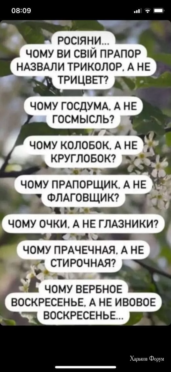 2c711700ab046559b8b7.webp
