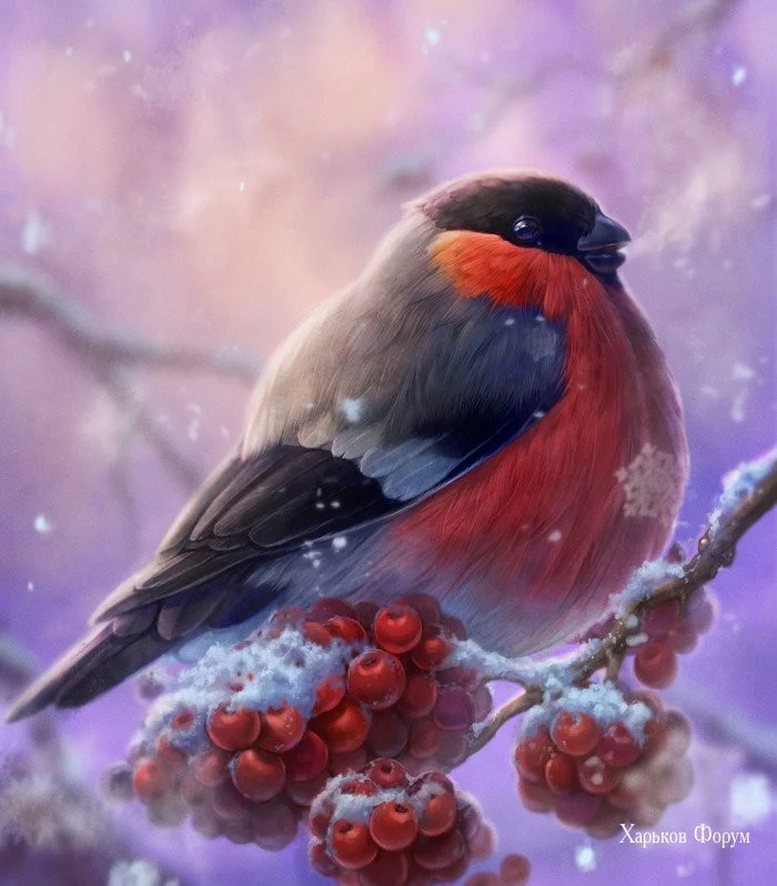 2c8f2f54fc810aa0fe9d4.webp