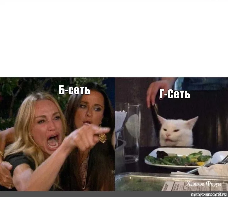 2c9a94d1b29365ba9.webp