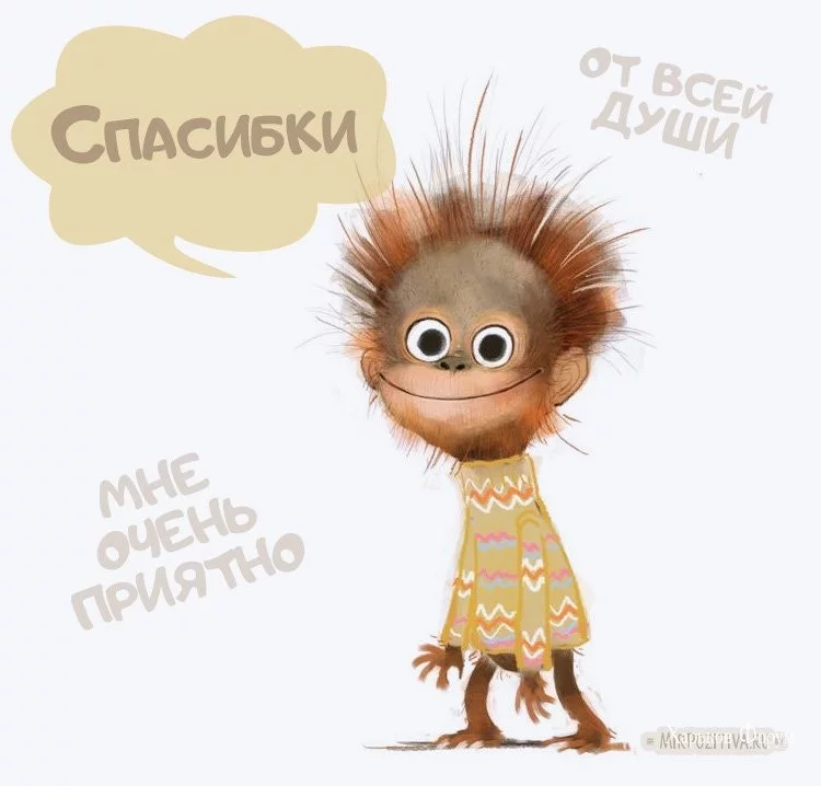 2ca6452c8fb45861.webp