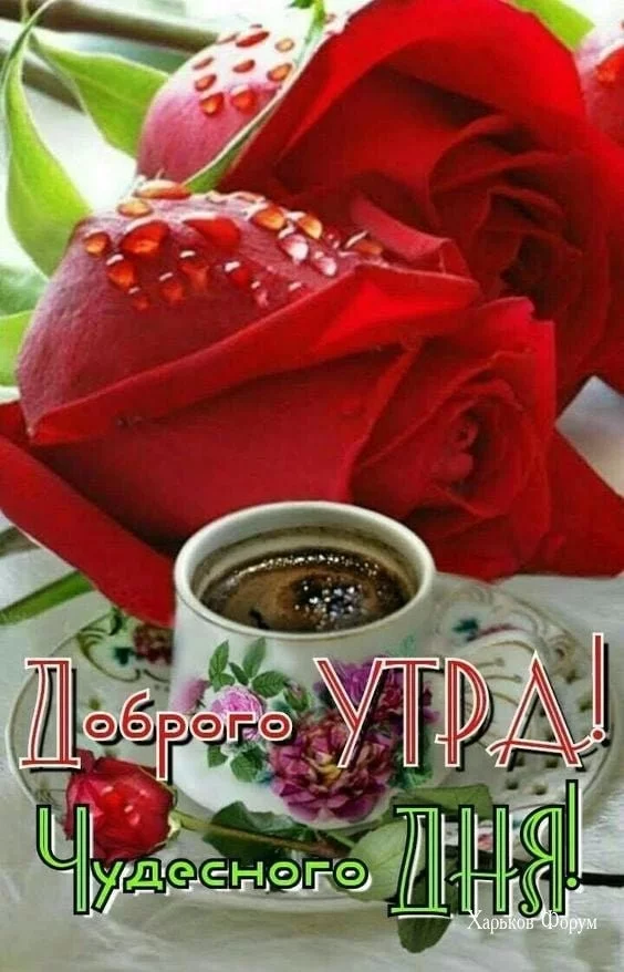 2caa04510b92407feca.webp